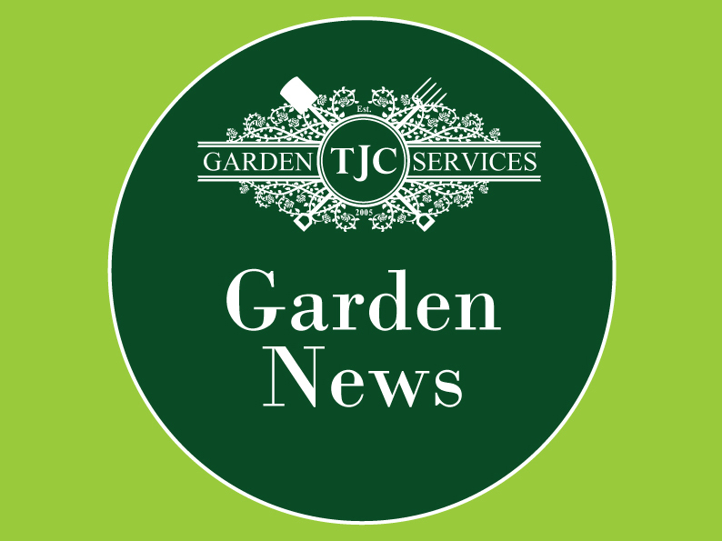 Our Garden News