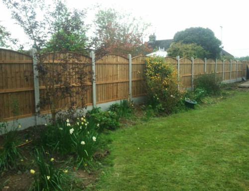 Convex Fence – South Woodham Ferrers